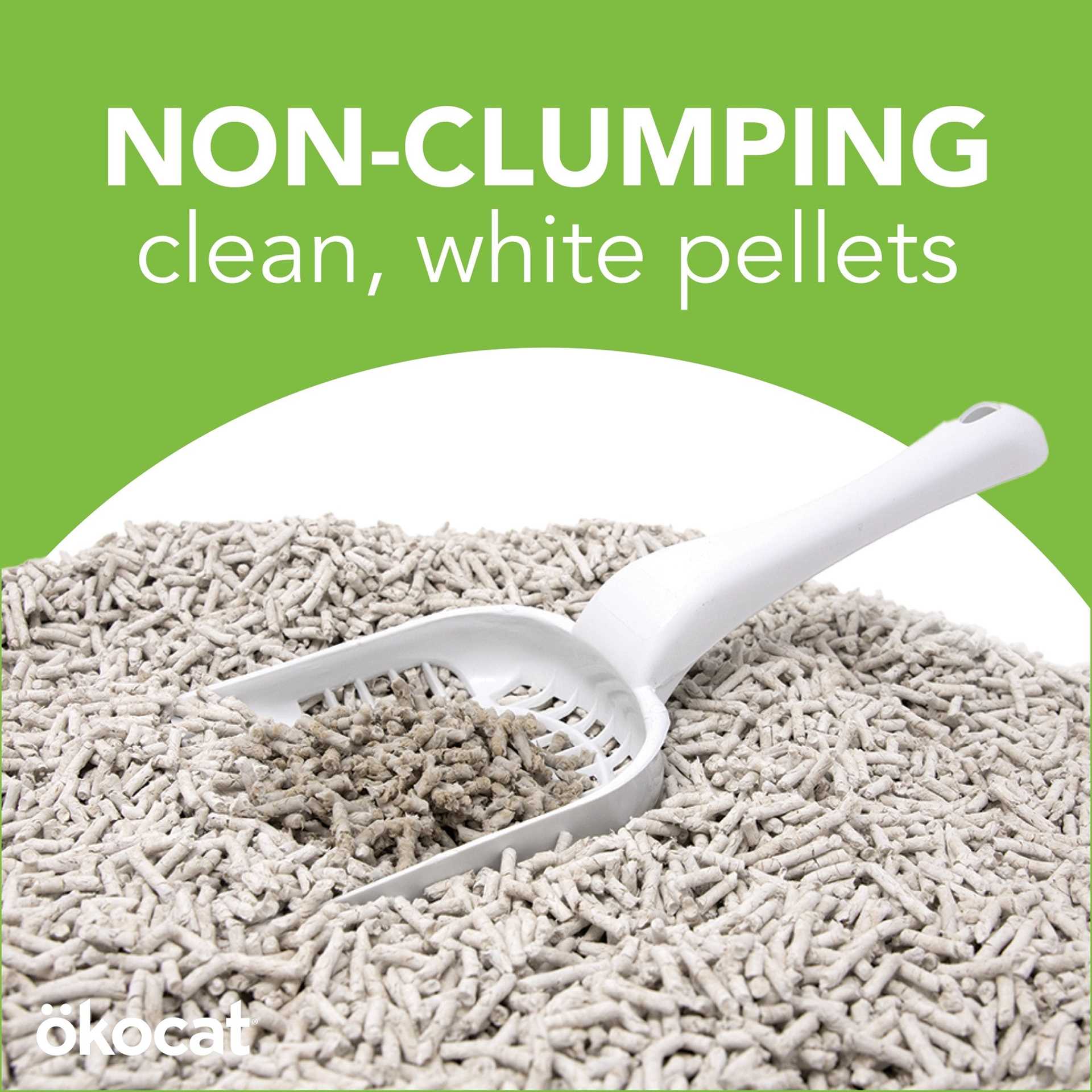 Deep Cleaning Your Feline's Toilet Space