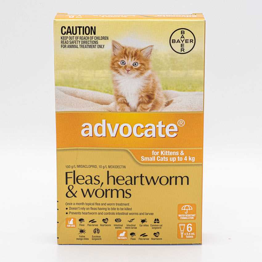 When to Consult a Veterinarian for Worm Issues