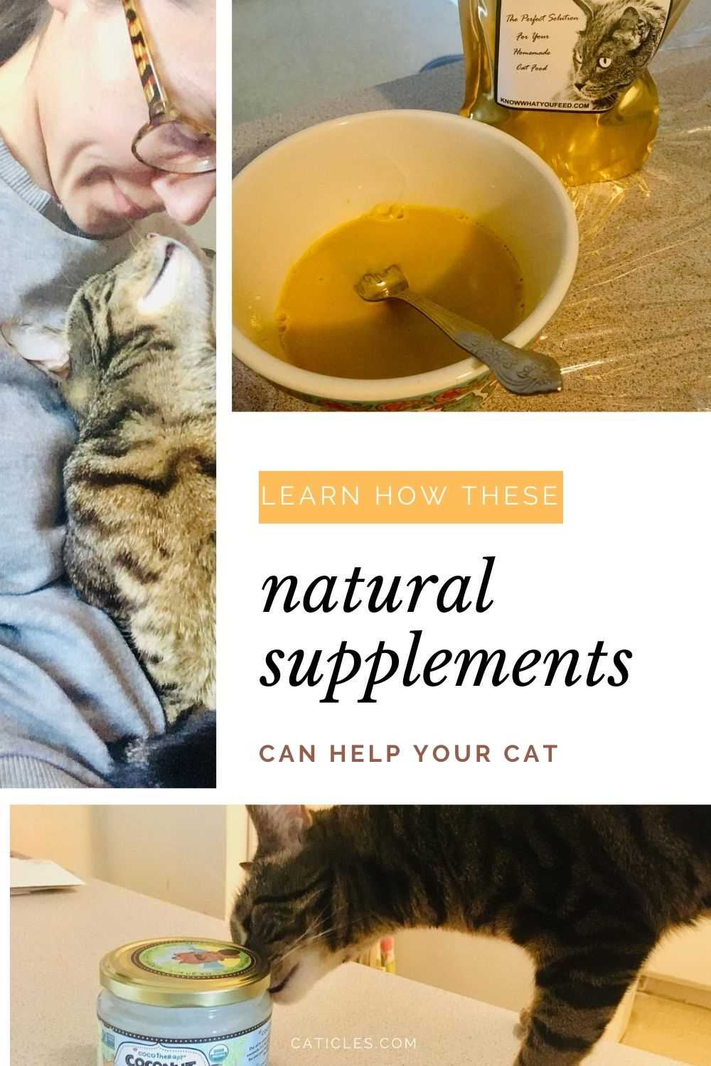 Ingredients to Consider