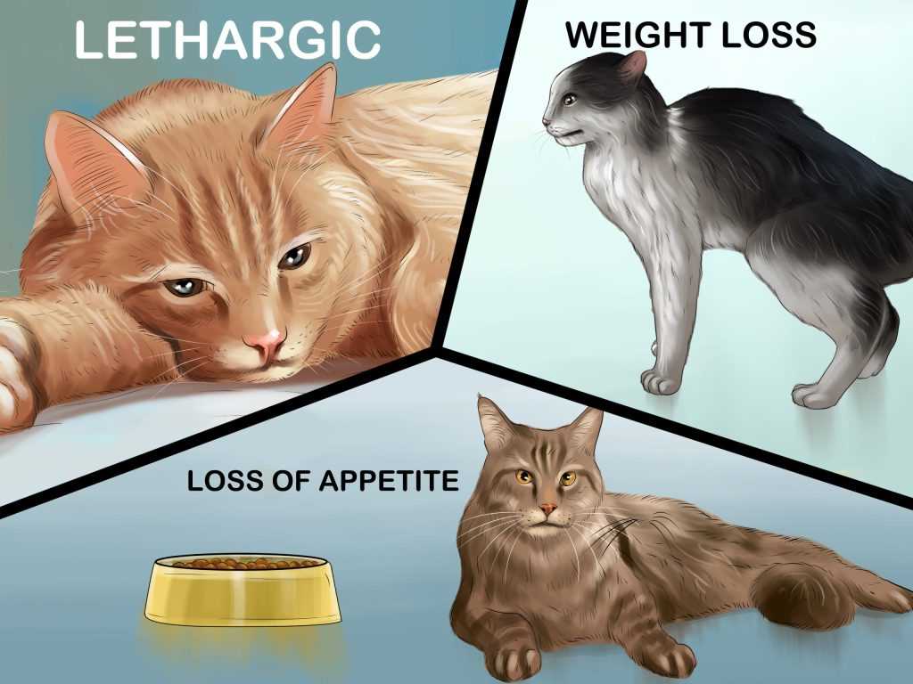 Antacids and Appetite Stimulants