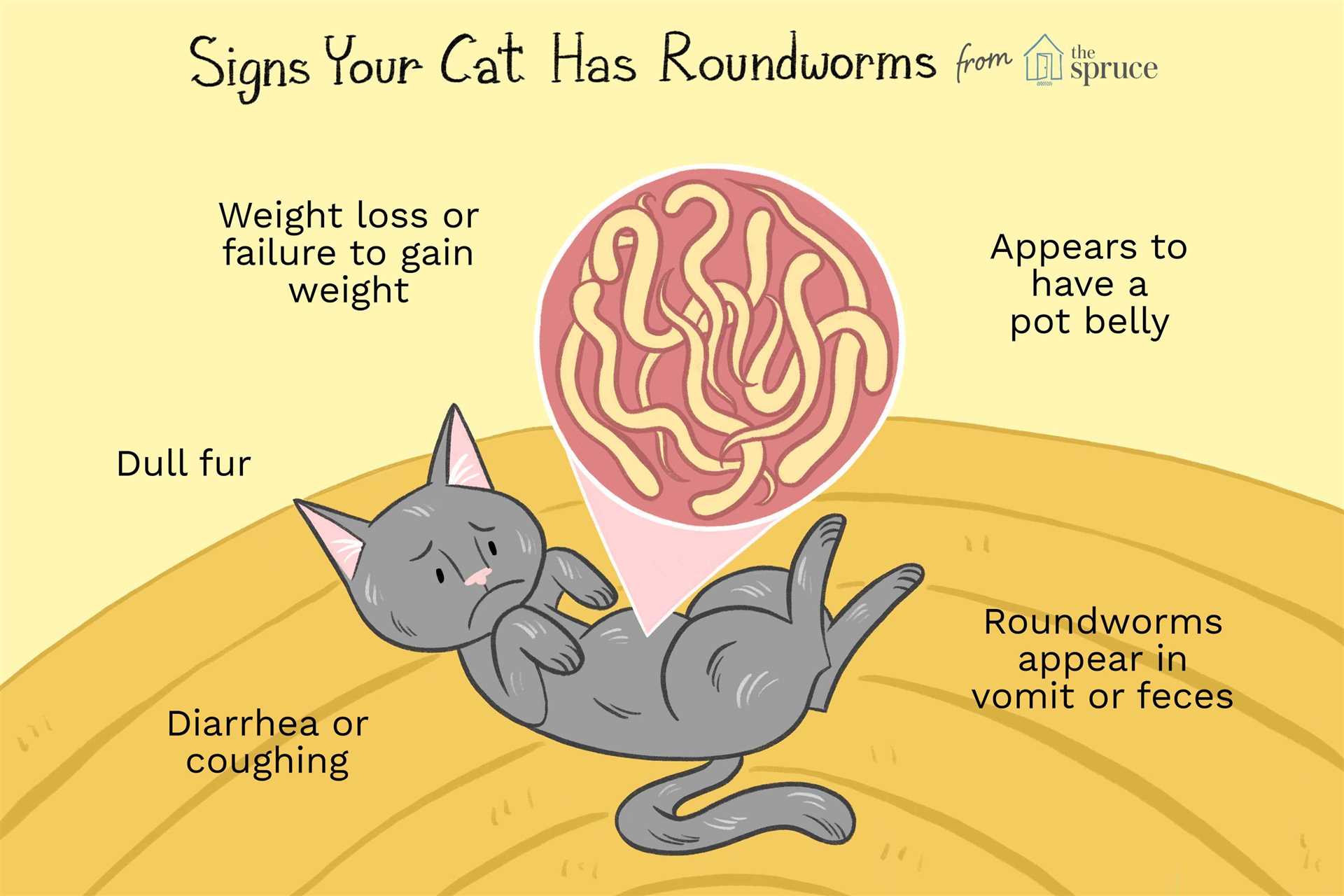 Choosing the Right Deworming Medication