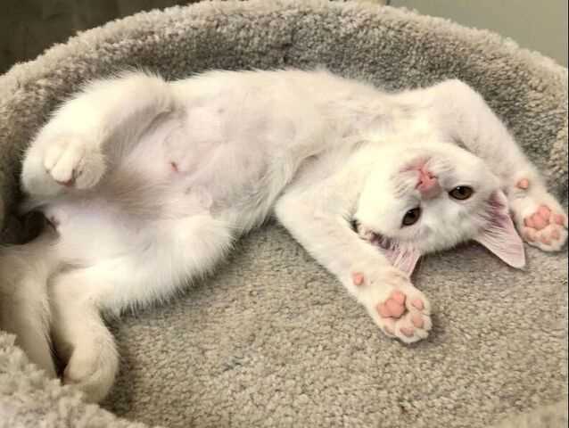 Post-Procedure Care