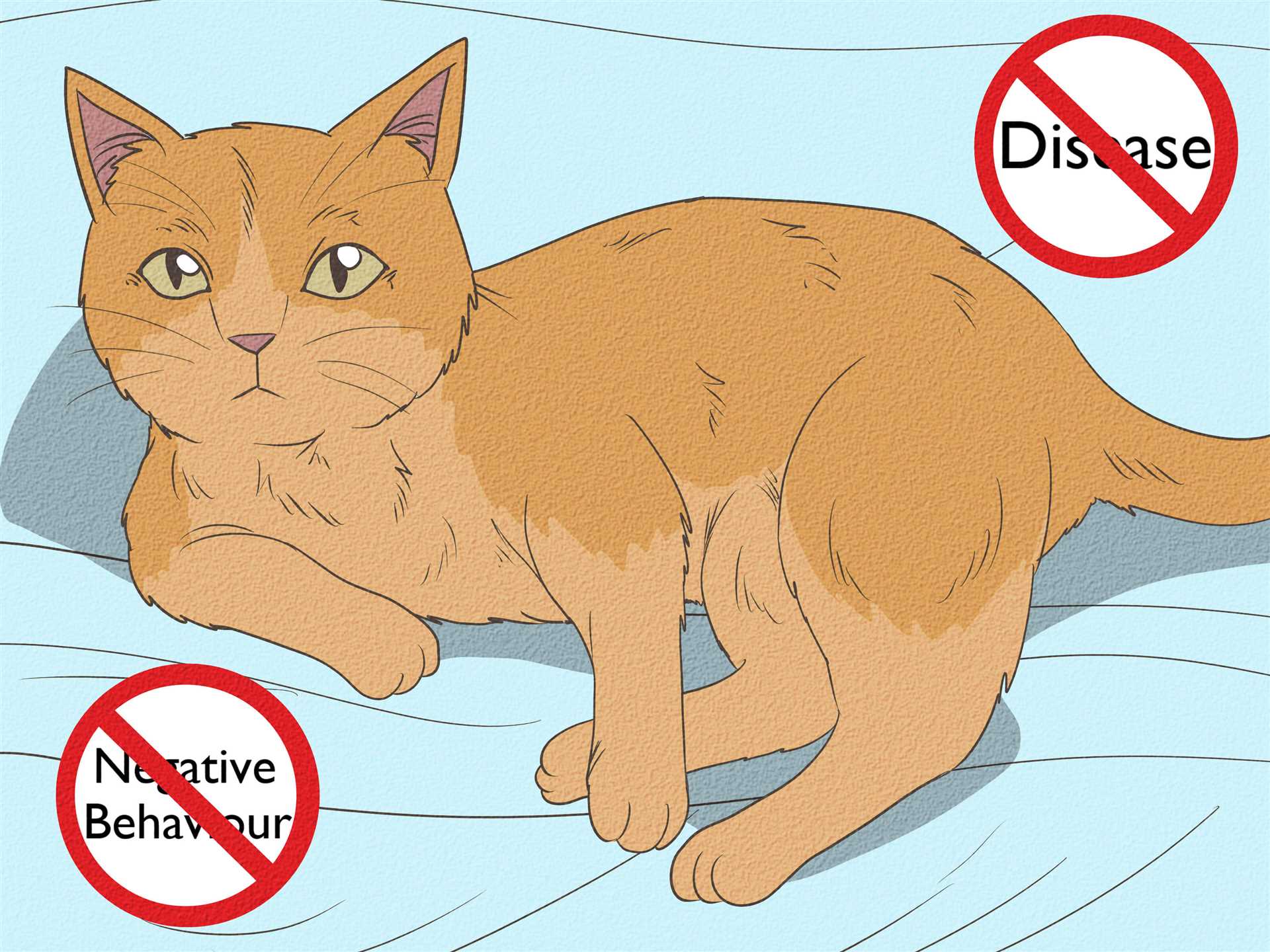 Common Myths About Neutering Age