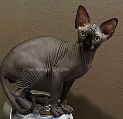 Grooming and Skin Care