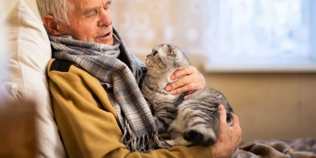 Comparing Smell Capabilities to Other Pets