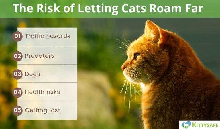 Average Roaming Range of Altered Felines in Urban vs. Rural Areas