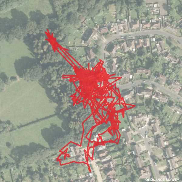 Tips for Monitoring Your Feline Friend's Movements