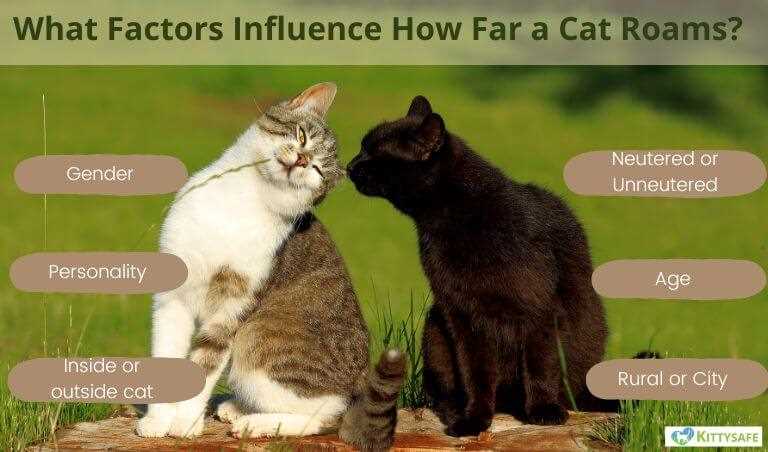 Territorial Behavior
