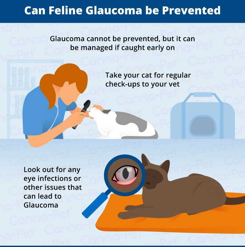 Monitoring and Prevention