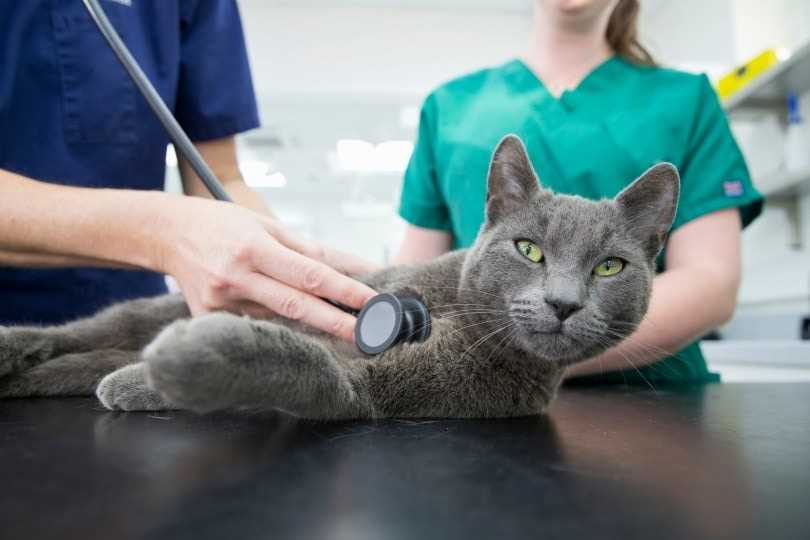 Monitoring Heart Rate