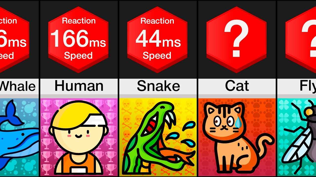 Comparing Cat Reaction Times to Other Animals