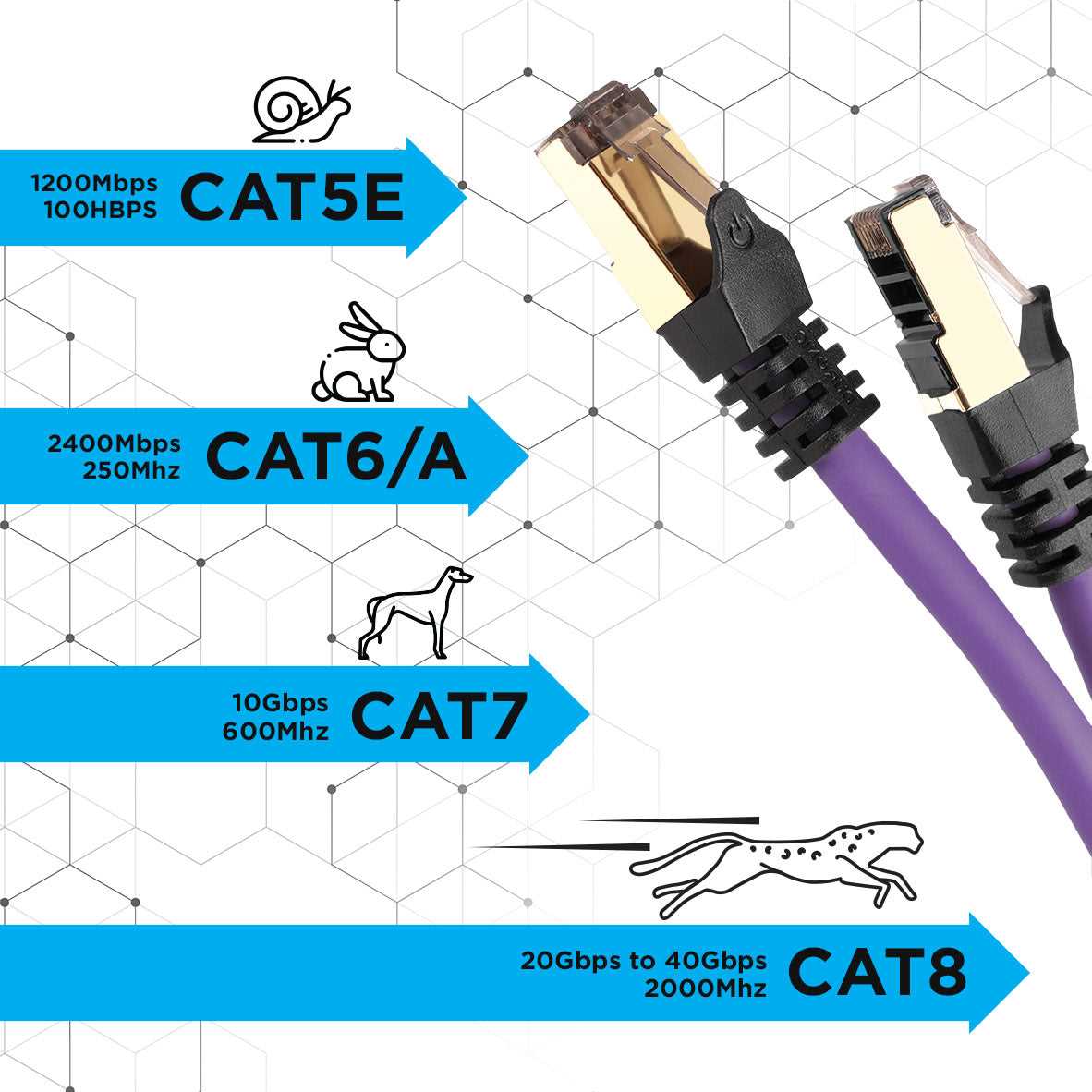 Real-World Speed Performance of Cat 8 Cables