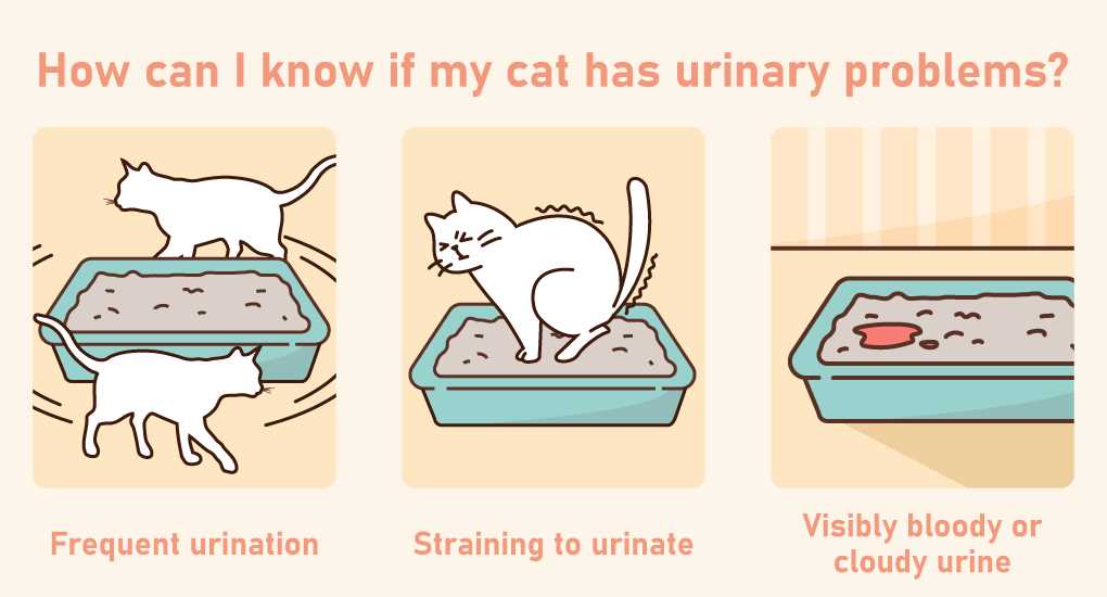 Other Considerations