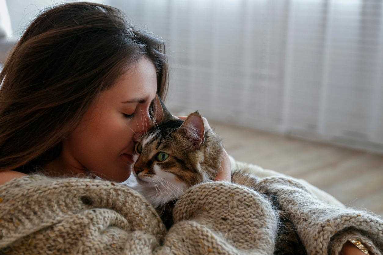 How Felines Utilize Odors for Communication