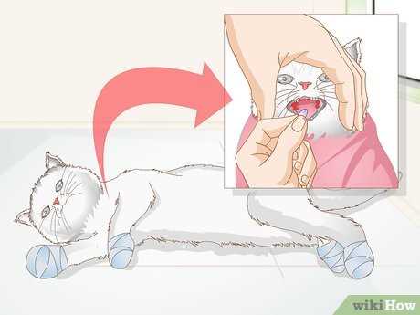 Odor Control