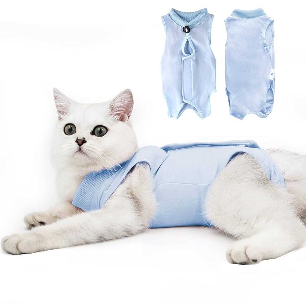 Signs Your Feline Friend Needs Extended Time with the E-Collar
