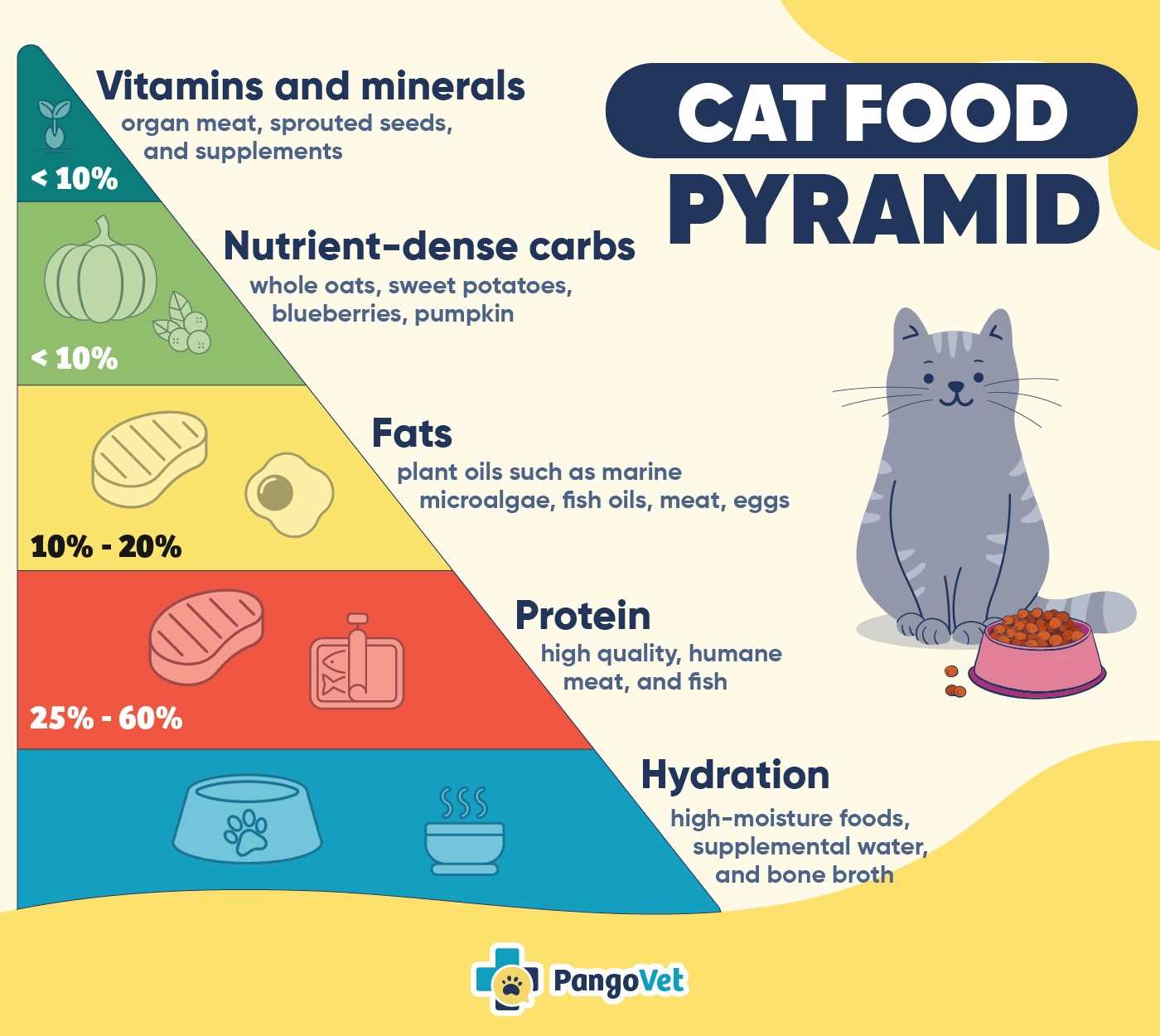 Signs Your Feline Is Hungry or Needs More Frequent Feedings