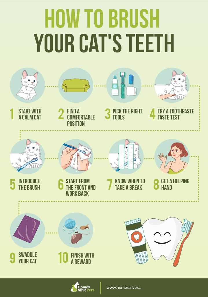 Signs That Indicate a Need for Longer Grooming Sessions
