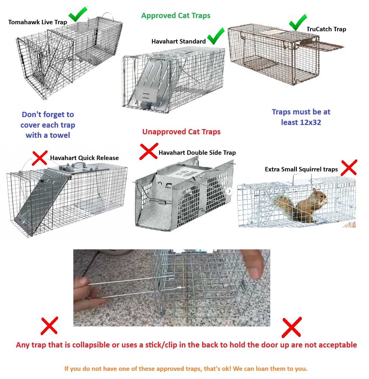 Signs of Complications to Monitor After Spaying