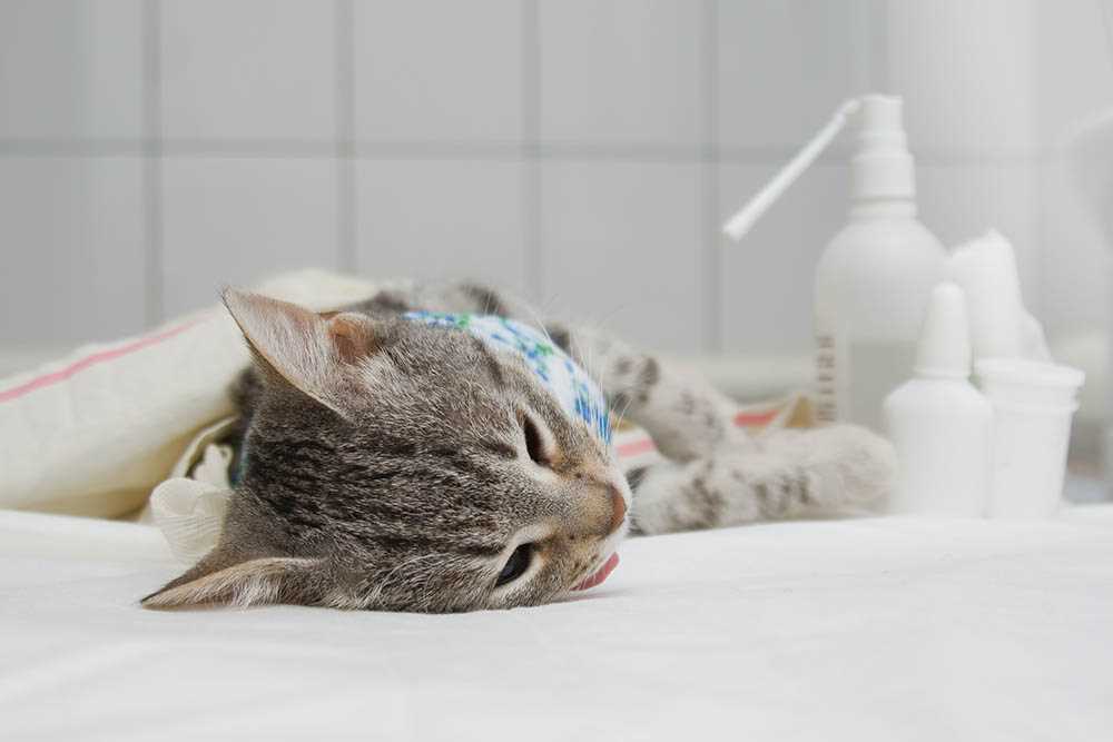 Post-Operative Care