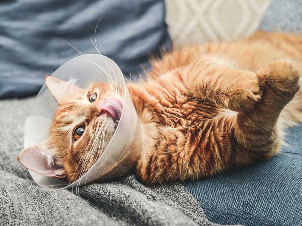 Signs of Recovery