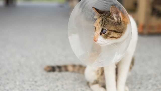 What to Expect During the First Few Days Post-Surgery