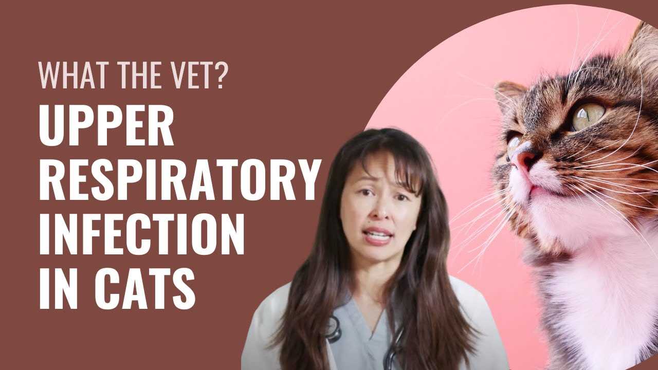Best Practices for Caring During Quarantine