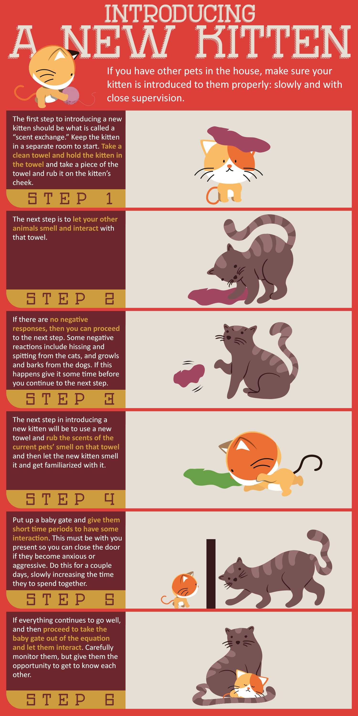 Strategies to Help Cats Adjust to Each Other
