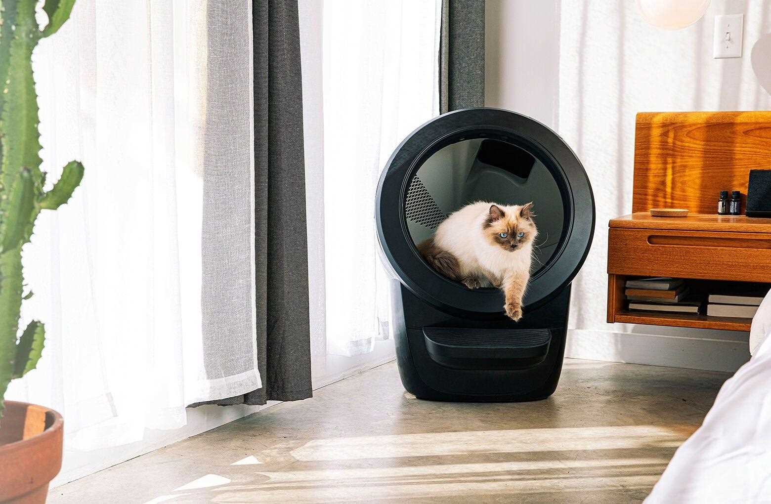 Recommended Quantity of Self-Cleaning Toilets for Feline Companions