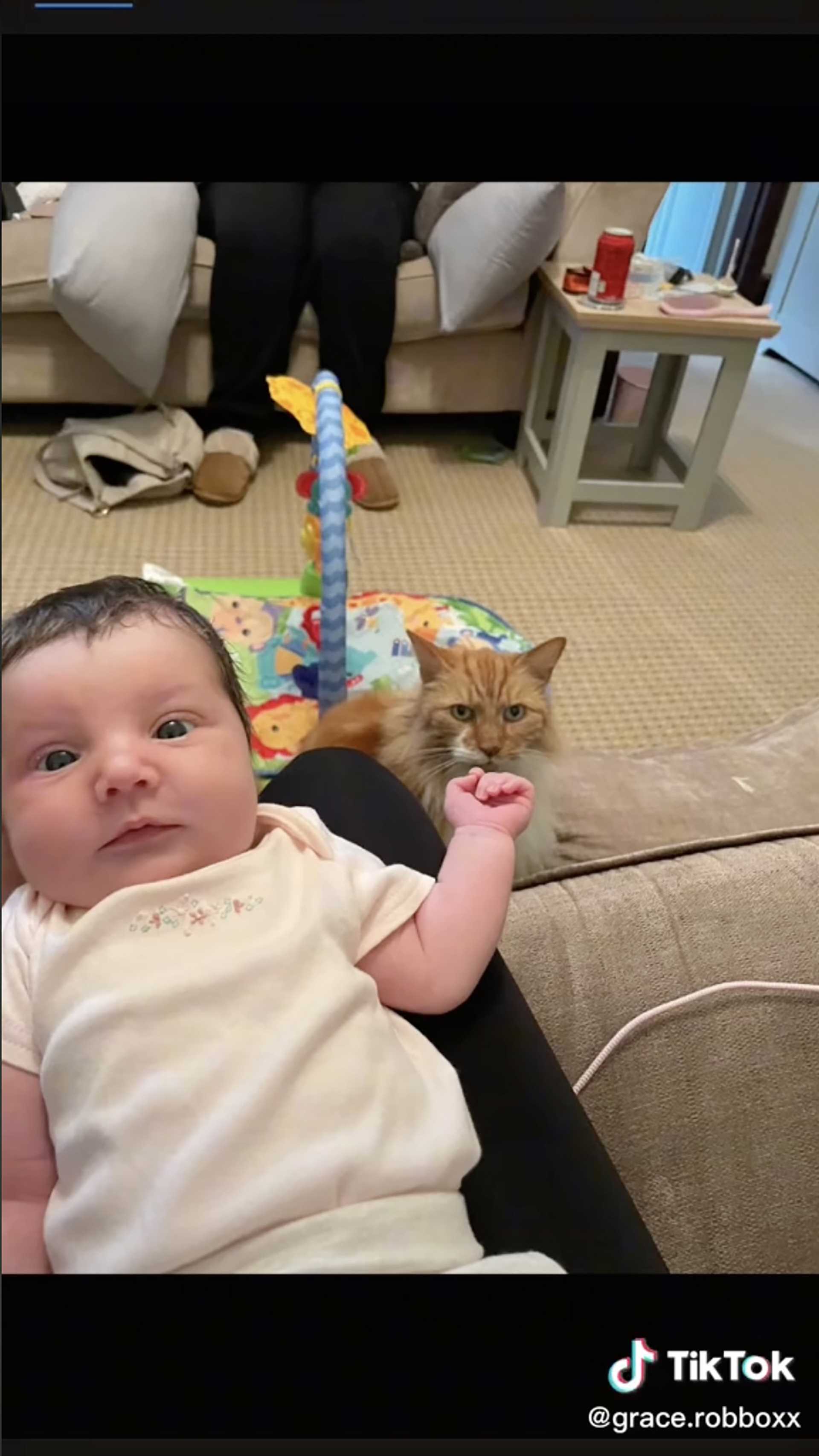 Analyzing Statistics on Cat-Related Infant Fatalities