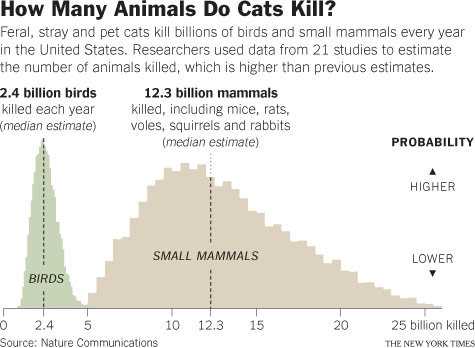 Factors Contributing to Feline Loss