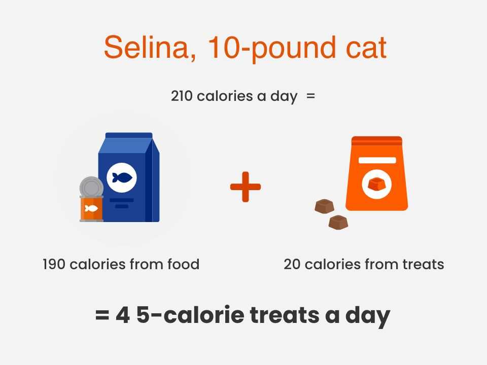 Balancing Treats with Regular Diet