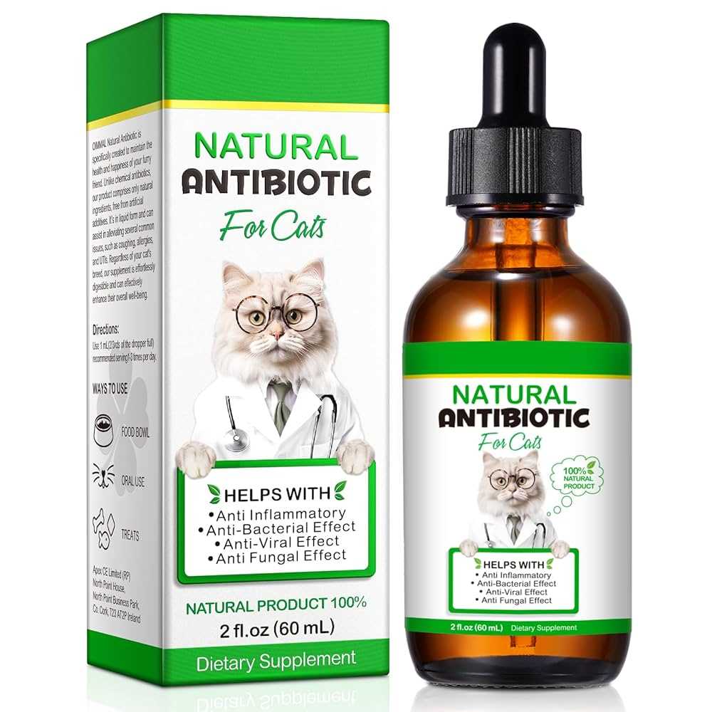 Understanding Amoxicillin Dosage for Cats