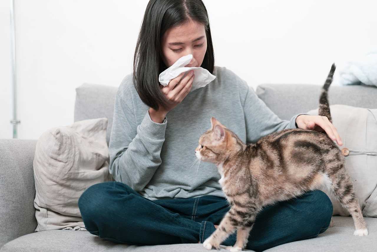 Factors Influencing the Price of Allergy Treatments