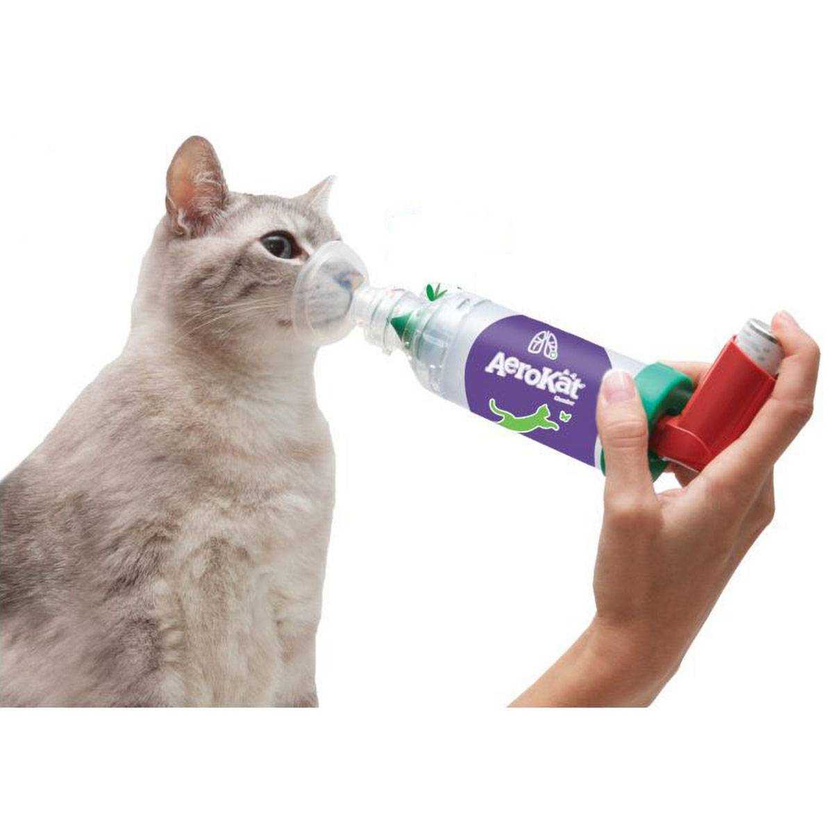 Factors Influencing the Price of Feline Nebulizers