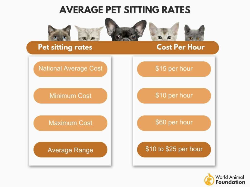 Tips for Negotiating Cat Sitting Prices