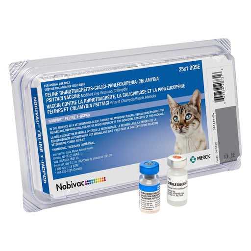 Comparing Prices: Veterinary Clinics vs. Animal Shelters
