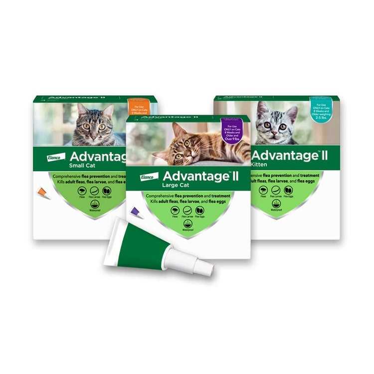 Average Cost Range for Cat Flea Injections