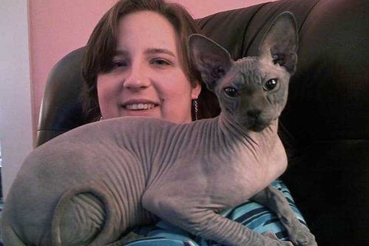 Adoption Options