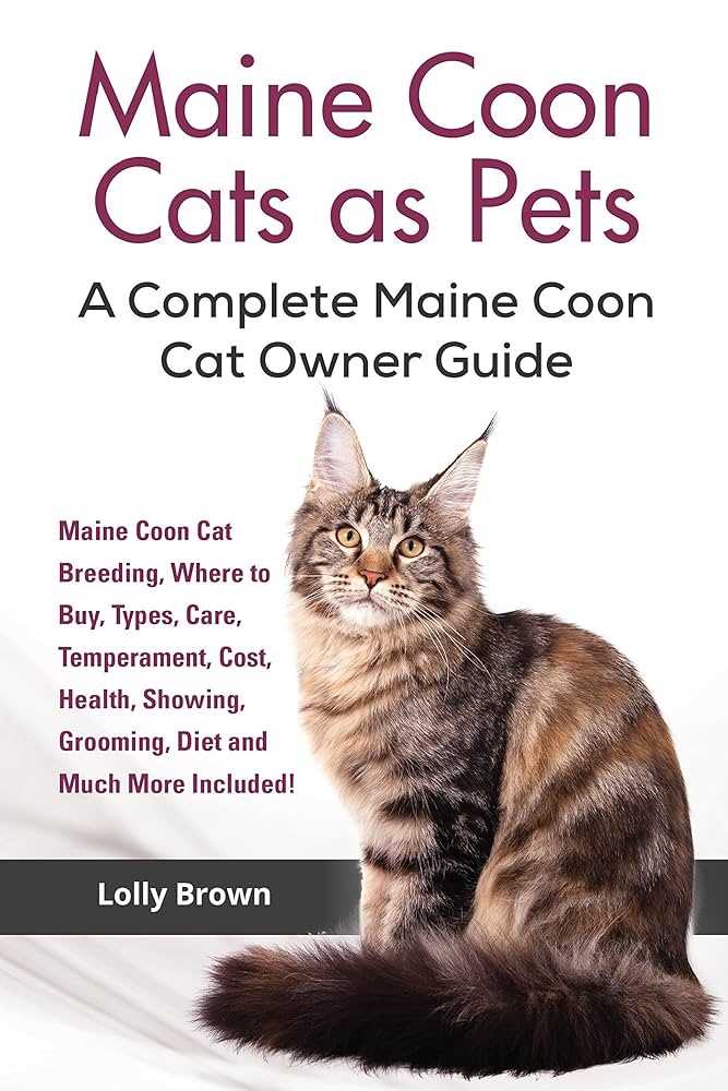 Ongoing Expenses for Maine Coon Ownership