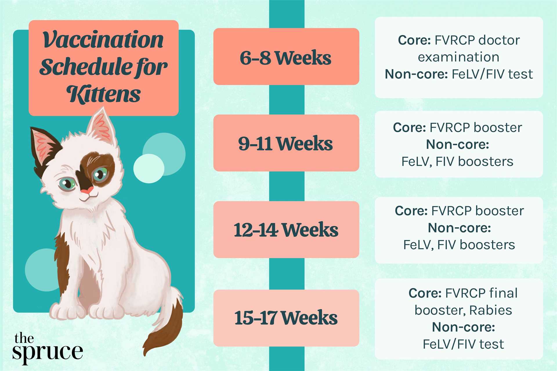 Comparing Prices: Veterinary Clinics vs. Animal Shelters