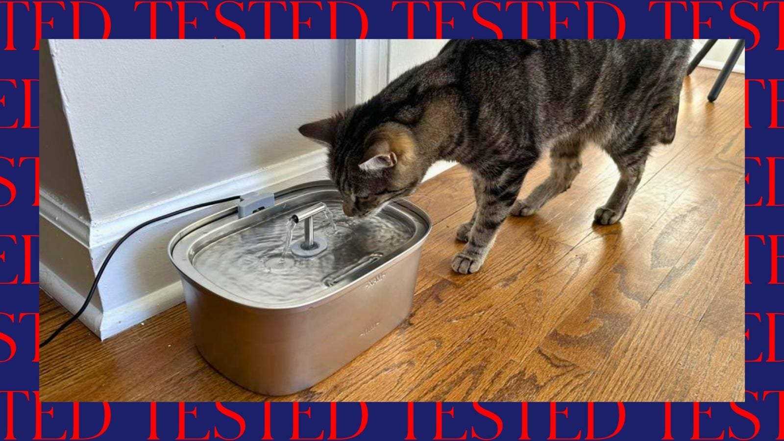 Frequency of Maintaining Your Pet's Hydration Station