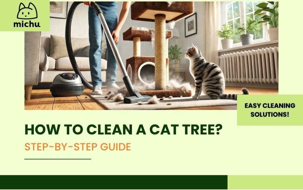 Deep Cleaning with a Carpet Cleaner