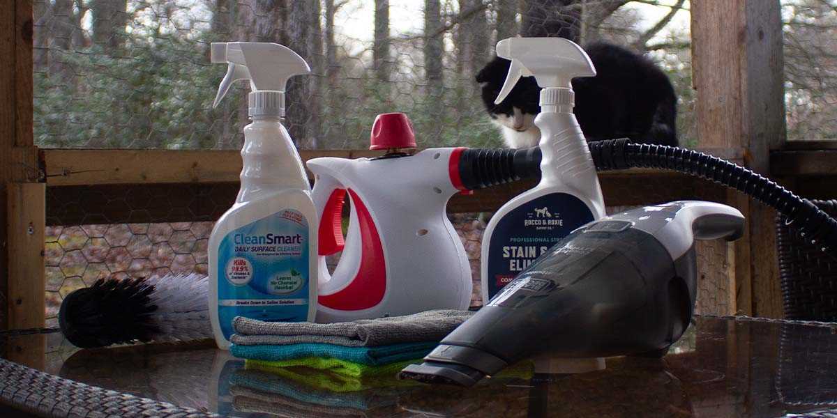 Dusting and Wiping Down Surfaces