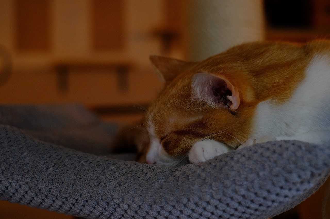 Cleaning My Cozy Spot