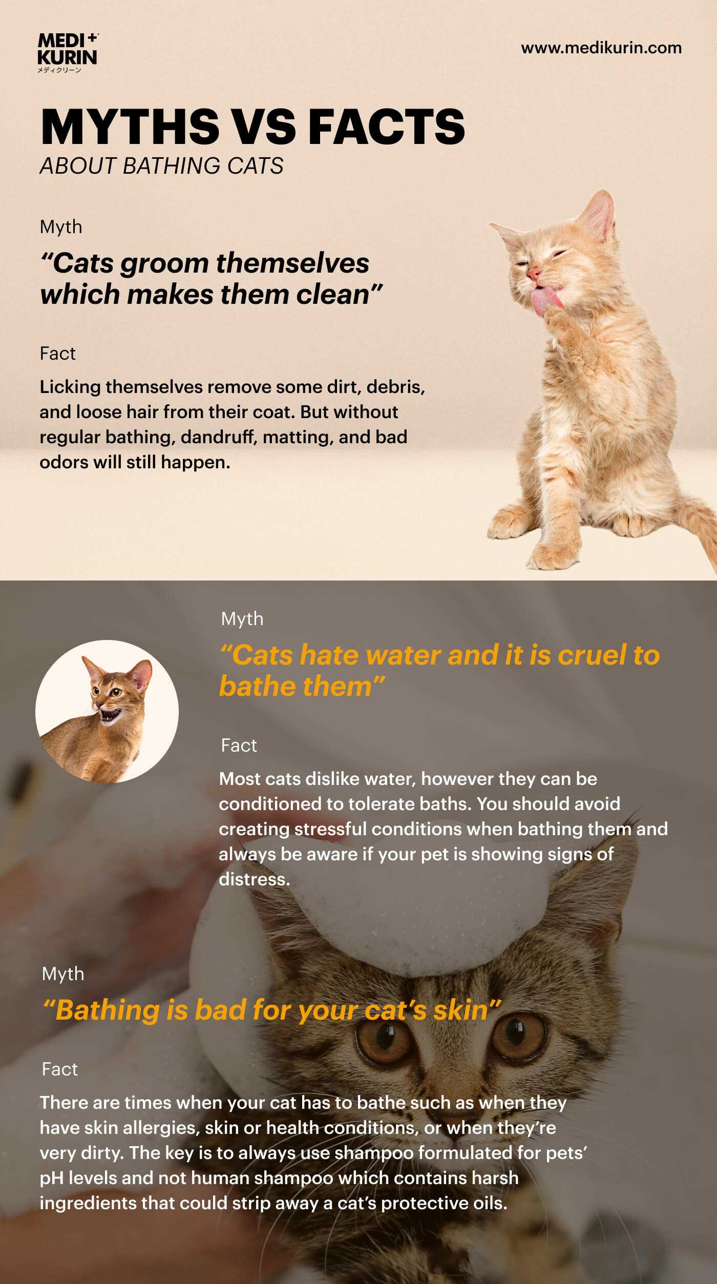 Establishing a Regular Grooming Routine