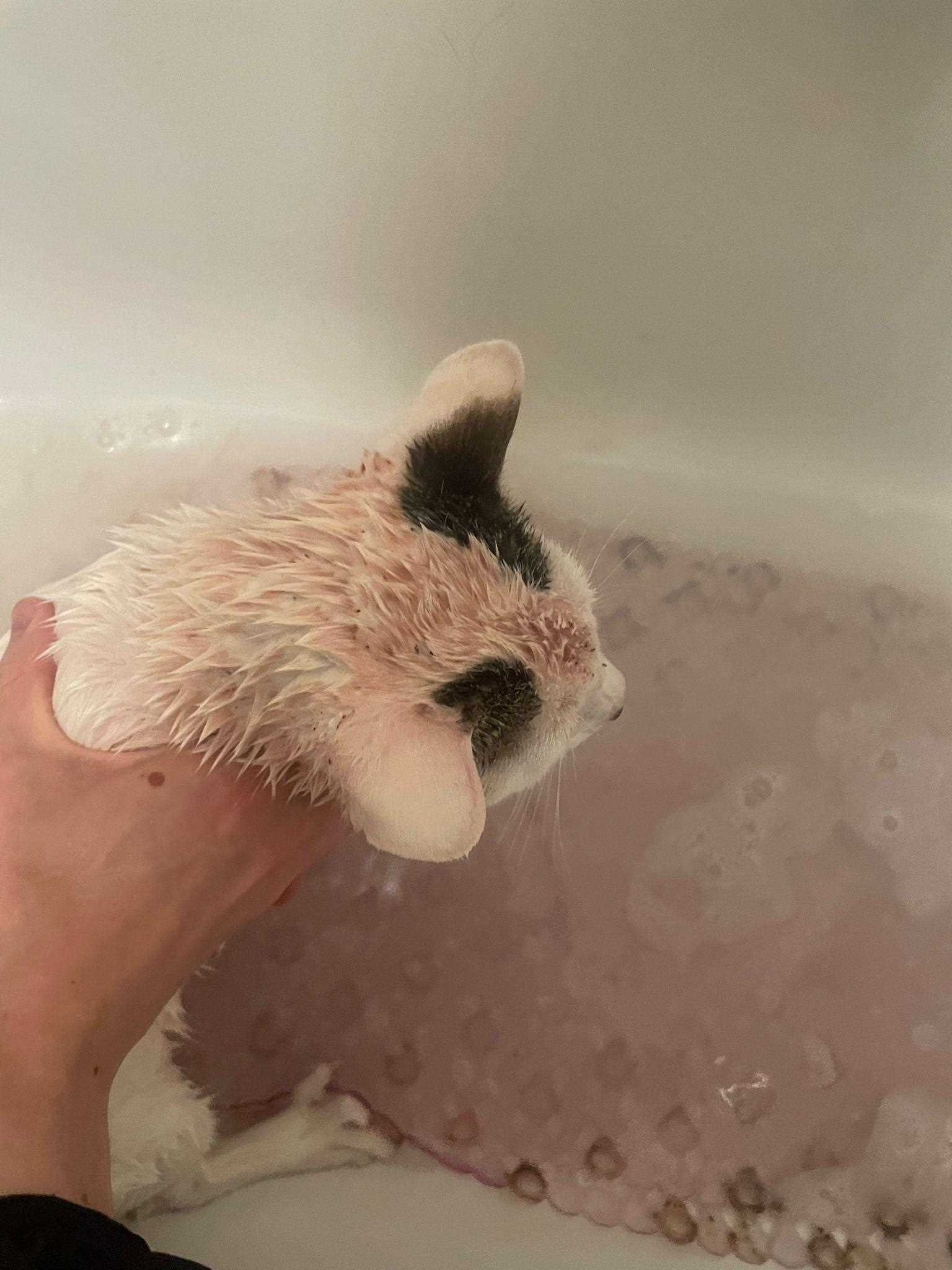 Rinsing Off