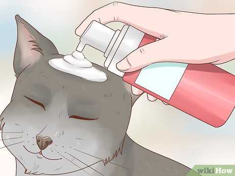 Maintaining Oral Hygiene Without Water