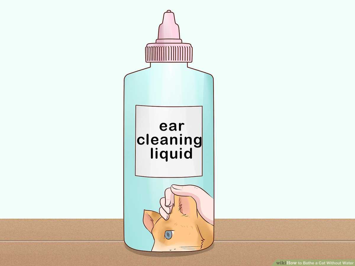 Grooming Tips for a Fresh Look