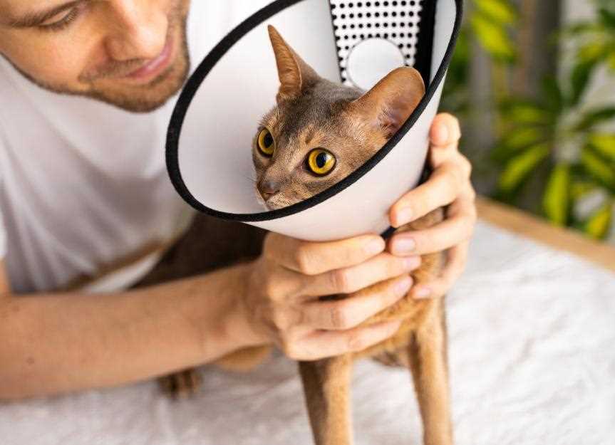 Assessing the Severity of the Wound